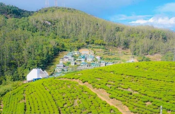 Aloka Home Stay Nuwara Eliya Eksteriør bilde